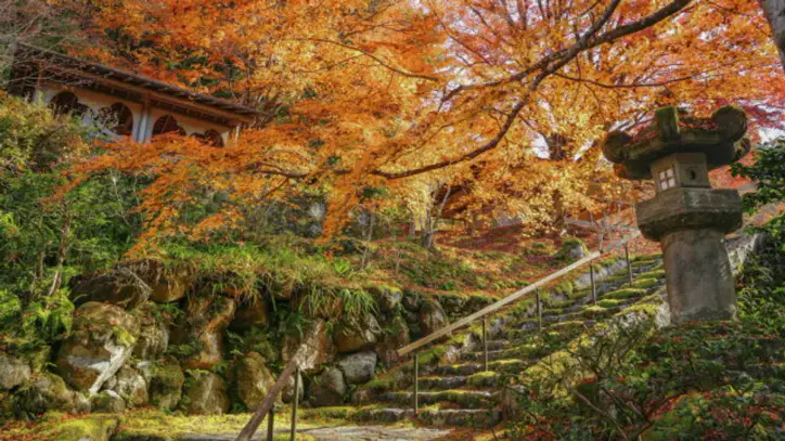 12 Places to See Fall Foliage Around the World