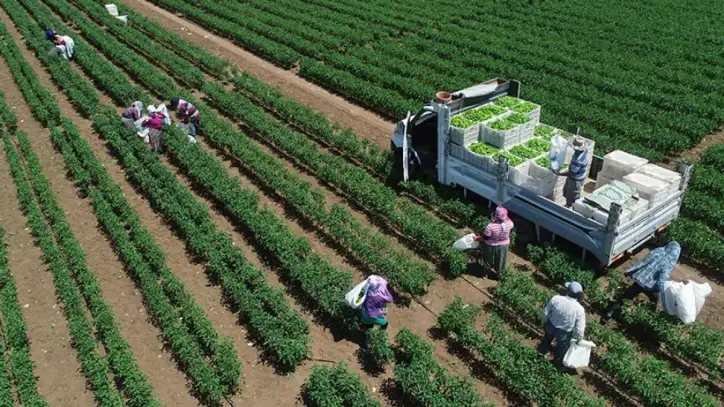 12,5 milyar liralık kırsal kalkınma desteği verilecek