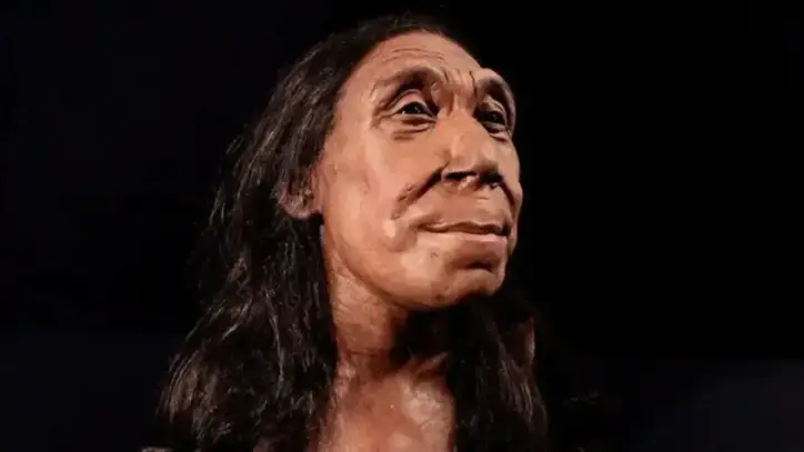 75 bin yıllık Neandertal kalıntısında dikkat çeken bulgu: En eski şiddet kanıtı olabilir