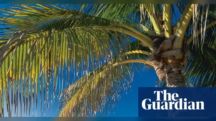 ‘A mockery’: how offshore tax havens are thwarting the UK’s transparency push