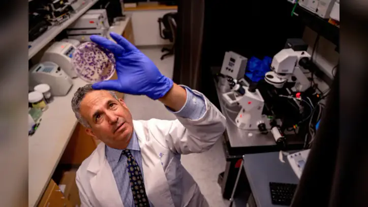 AI is unlocking a new ‘golden age’ in medicine, with personalized treatments to cure cancer and potential to save billions of lives