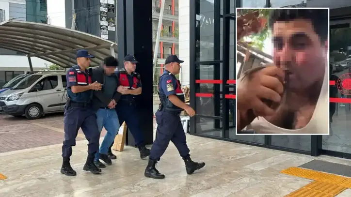 Alanya'da Canlı Kuşun Kafasını Ağzıyla Kopardı