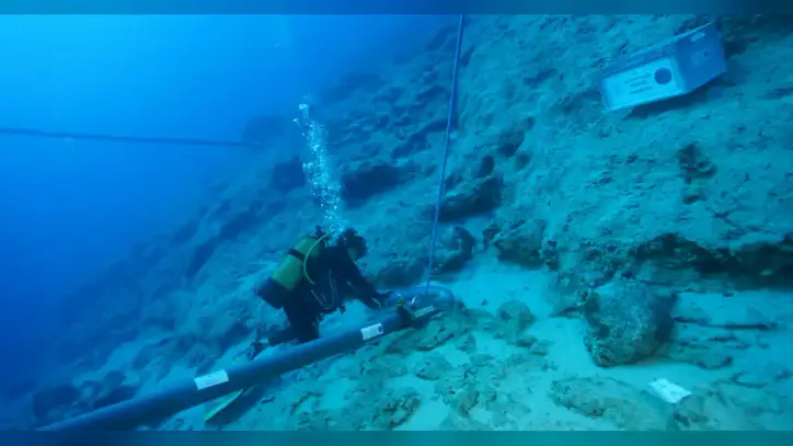 World’s oldest shipwreck found off coast of Turkiye