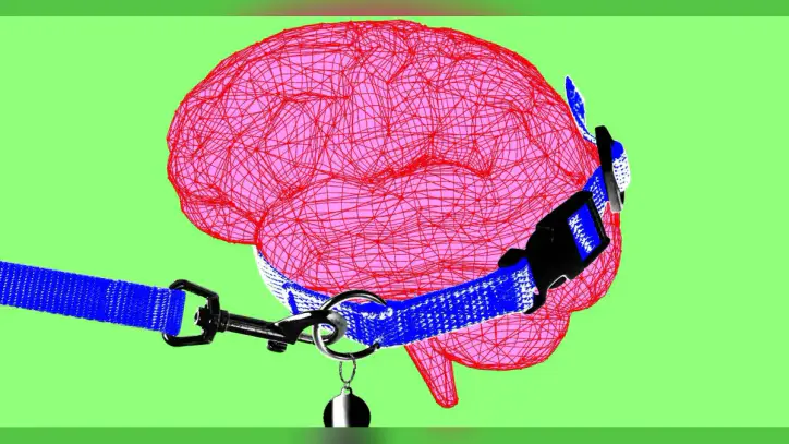 Anthropic CEO says it’s time to pump the brakes on AI