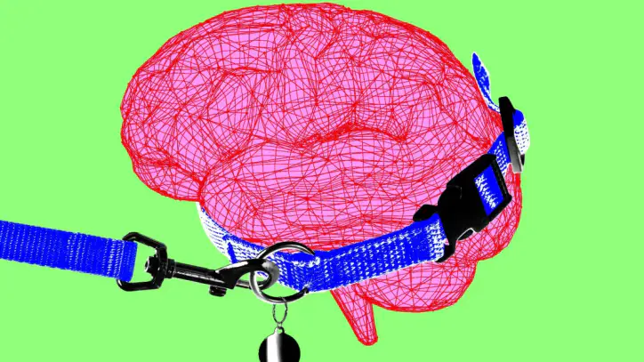 Anthropic CEO says it’s time to pump the brakes on AI