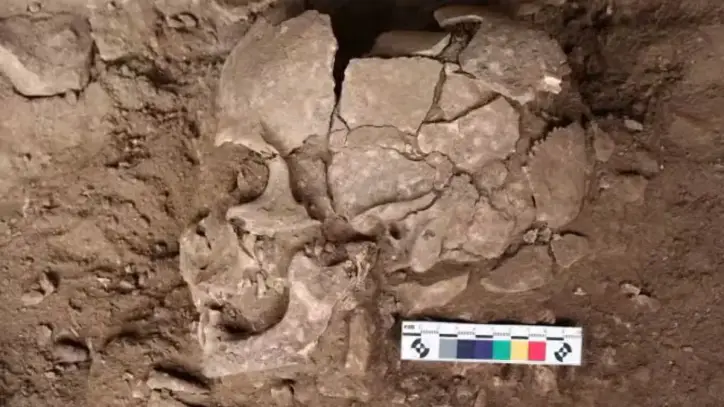 Araştırmaya göre, uyarıcı madde tüketimi 25 bin yıl öncesine kadar uzanıyor
