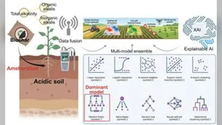 Artificial intelligence could help unlock smarter biochar strategies for acidic soils