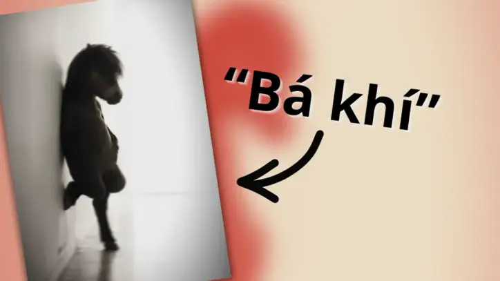 "Bá khí" ne anlama geliyor ve sosyal medyada bu kadar viral bir meme haline gelmesini sağlayan kökeni nedir?