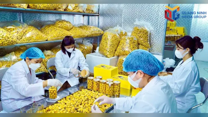 Bilim ve teknoloji yoluyla ormanlardan katma değer yaratmak.