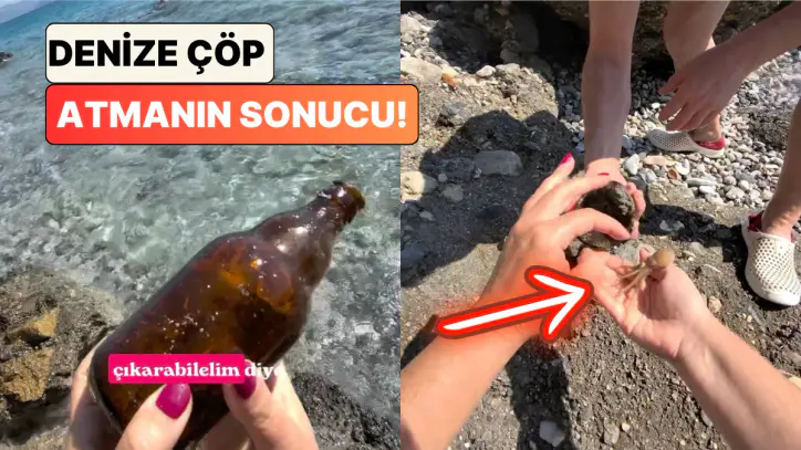 Bir Sosyal Medya Kullanıcısı Denize Atılan Bira Şişesinin İçindeki Yavru Ahtapotu Özgürlüğüne Kavuşturdu
