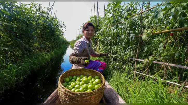 The world is waging a ‘war on nature’ as progress on biodiversity targets lags