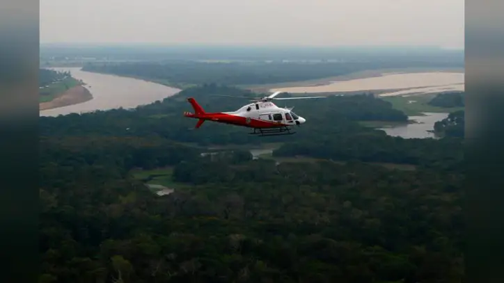 Brazil says Amazon deforestation fell to the lowest level since 1988