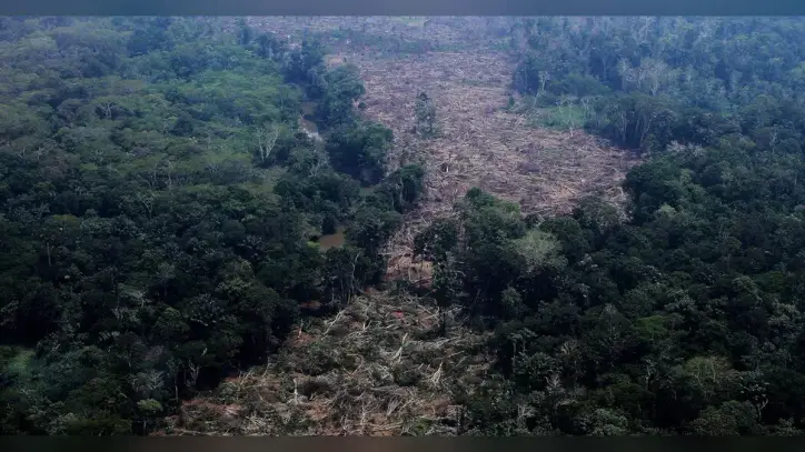 Planet Earth and Brazil’s Election
