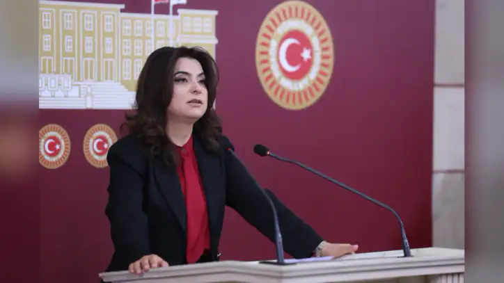 DEM Partili Koçyiğit, sosyal medyadaki hesap kimlik numaralarını Meclis gündemine taşıdı - Evrensel