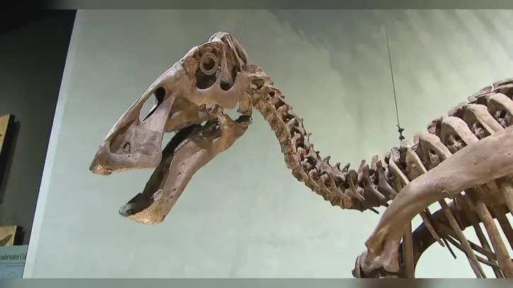Denver Museum of Nature and Science to host world renowned palaeontologist Dr. Dean Lomax