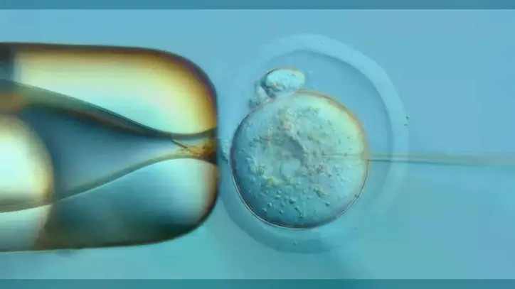 Teknoloji, hücre bölünme geçmişinin doğrudan genetik materyal içinde gözlemlenmesine olanak tanır.