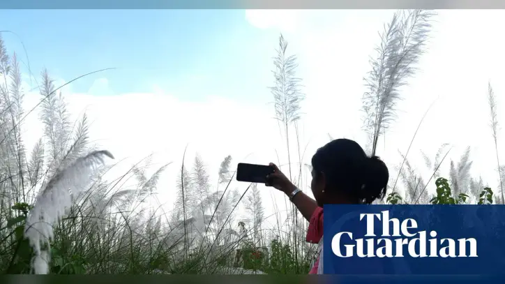 World Bank says ‘small AI’ could transform developing countries