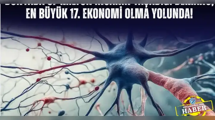 Dünyada 57 milyon insanın yaşadığı demans, en büyük 17. ekonomi olma yolunda! - ŞehirMedya