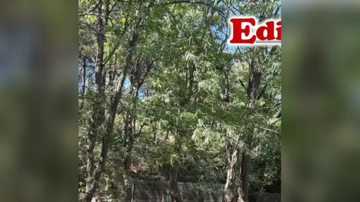 Edirne Gazetesi, Instagram: "Keşan İlçe Sağlık Müdürlüğü, 3-9 Eylül Dünya Halk Sağlığı Haftası kapsamında fiziksel aktivitenin önemine dikkati çekmek ve obeziteyle mücadeleye destek olmak amacıyla etkinlik düzenledi.
Keşan İlçe Sağlık Müdürlüğü çalışanlarınca Cennet Parkı’nda gerçekleştirilen "Bedenini Dinle Harekete Geç" etkinliğine vatandaşlar katıldı.
Etkinlikte fizyoterapistler tarafından katılımcılara çeşitli fiziksel aktivite hareketleri yaptırıldı.
Vatandaşlara düzenli fiziksel aktivitenin sağlığın korunması, obezitenin önlenmesi ve yaşam kalitesinin artırılmasındaki önemi anlatıldı."
