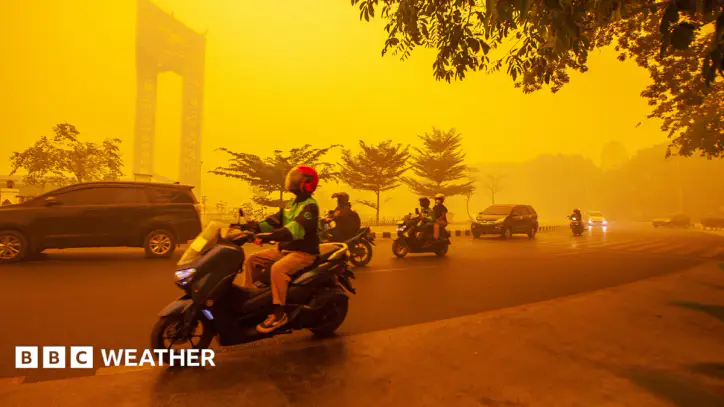 Five ways El Niño is affecting the weather around the world