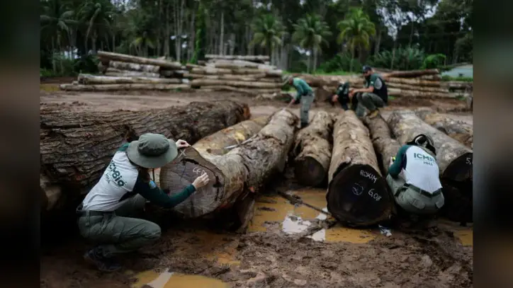 World Faces Nature Reality Check at UN Biodiversity Conference