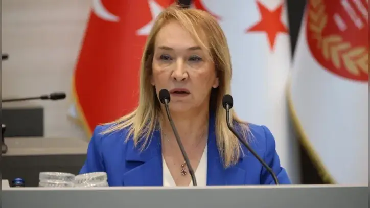 Filiz Besim: Hasta güvenliği ve sağlık çalışanları seçim hesaplarına kurban edilemez