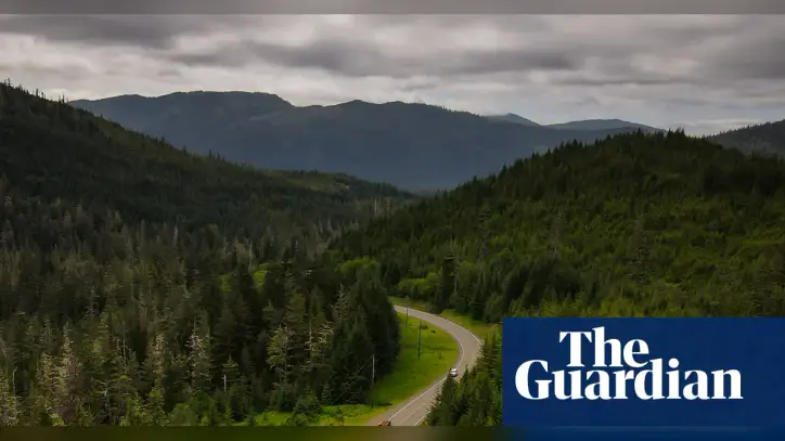 Forest Service chief faces scrutiny over logging ties as Trump plans to scrap protections