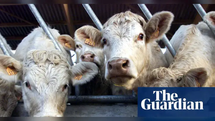 Shamonda virus detected in human for first time in France