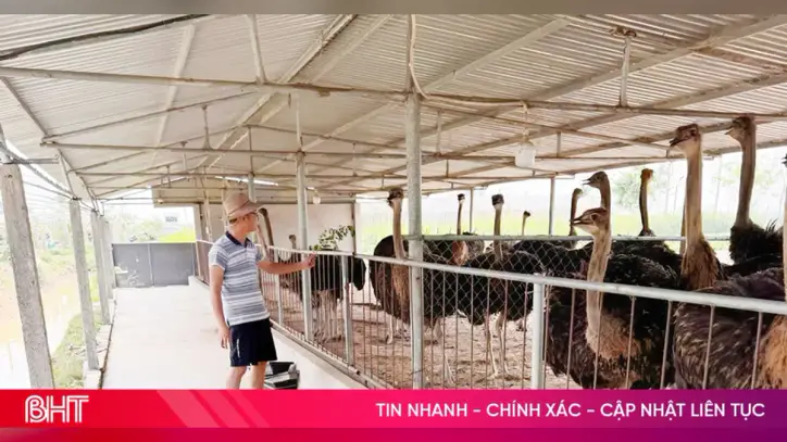 Ha Tinh eyaleti, üretim uygulamalarında bilim ve teknolojiyi kullanıyor.
