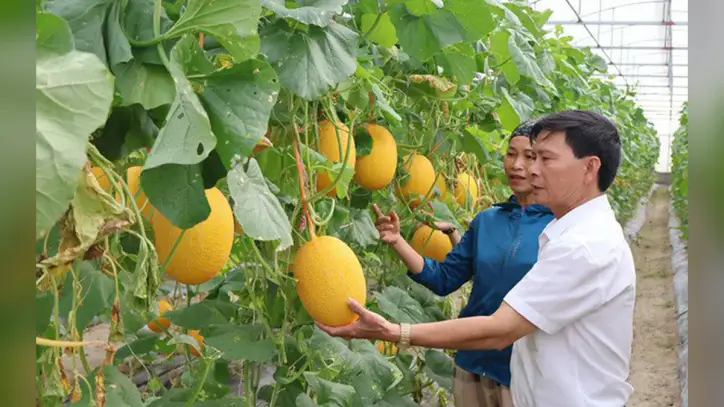 Ha Tinh ili, 2026 yılı için 7 bilim, teknoloji ve inovasyon projesi seçti.