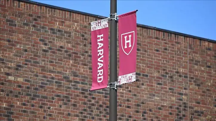 Harvard araştırması: Dezenformasyona karşı tek formül çare değil