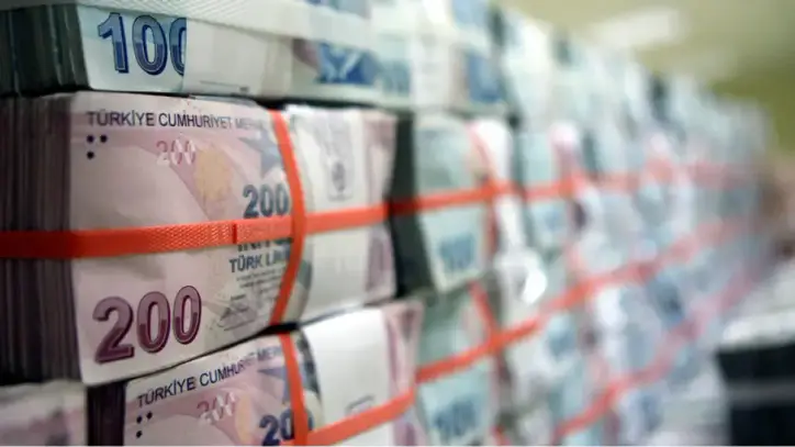 Hazine alacakları 255,6 milyar lira oldu