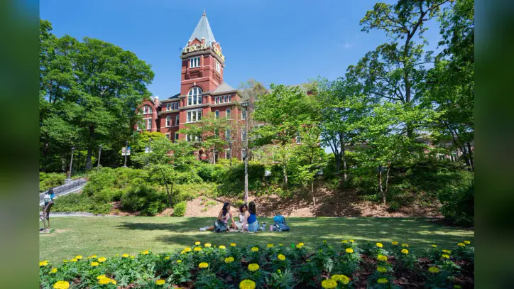 How AI Supports Undergraduate Admission, Enrollment