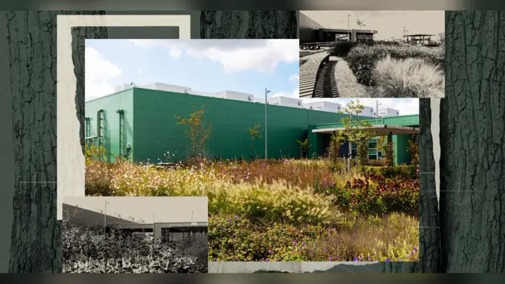 If a data center is camouflaged in the woods, will anyone hate it?