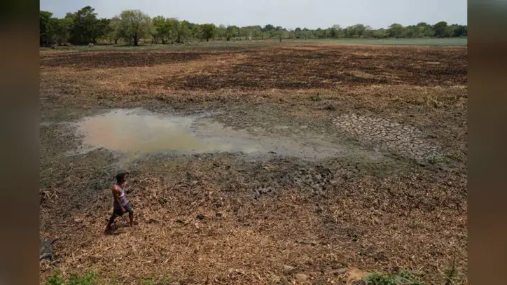 In drought-stricken Sri Lanka, farmers watch wells empty and wildlife crowd shrinking water holes