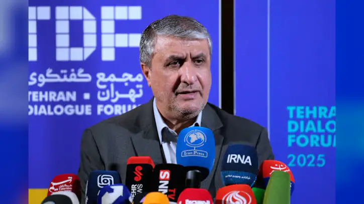 Iran's nuclear chief not expected to attend IAEA General Conference, official says
