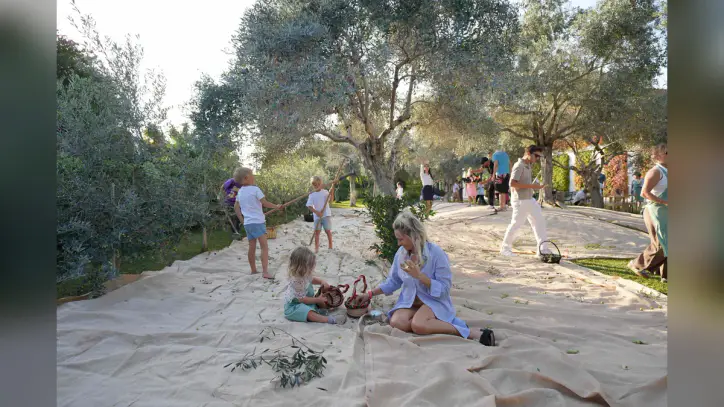 Fişekhane’de Olive Fest 2026 Heyecanı Başlıyor