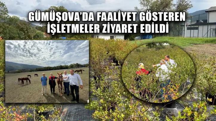 KIRSAL EKONOMİ GÜÇLENDİRİLECEK