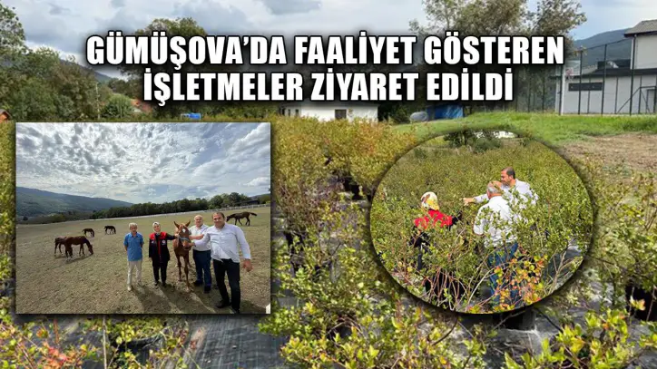KIRSAL EKONOMİ GÜÇLENDİRİLECEK
