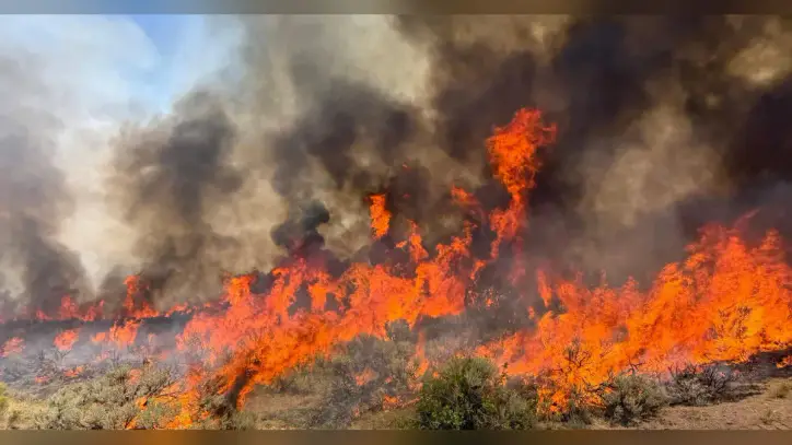 Climate change pushed Earth to its limits in 2026 as certain "vital signs" reach record extremes, report says