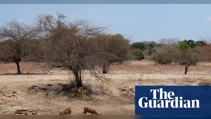 IPCC is under pressure to delay publication of key global climate report