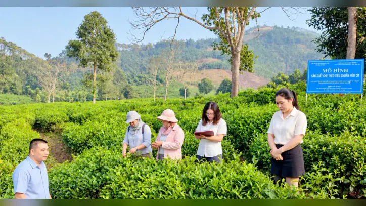 Lao Cai'de bilim, teknoloji ve inovasyona yeni bir ivme kazandırmak.