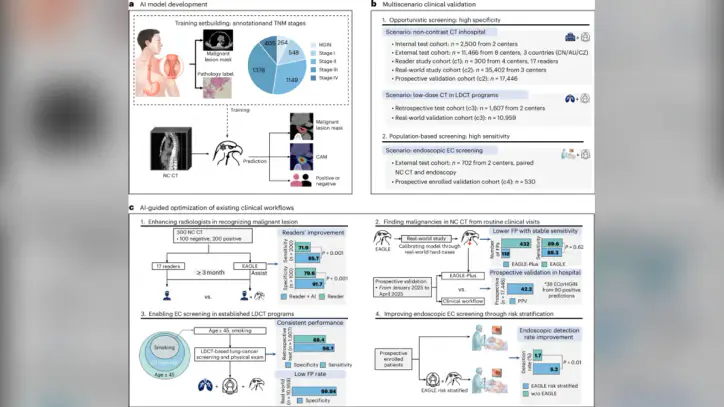 Large-scale esophageal cancer screening through noncontrast computed tomography and artificial intelligence - Nature Medicine
