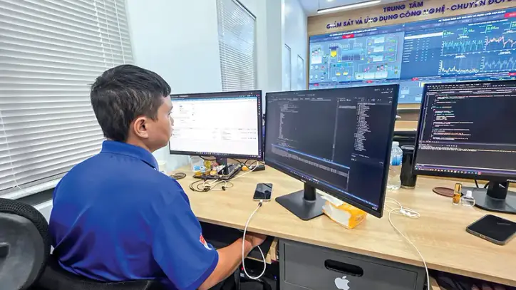 Mekong Deltası'ndaki büyümenin kalitesi üzerinde somut bir etki yaratan özel çözümler bulmak.