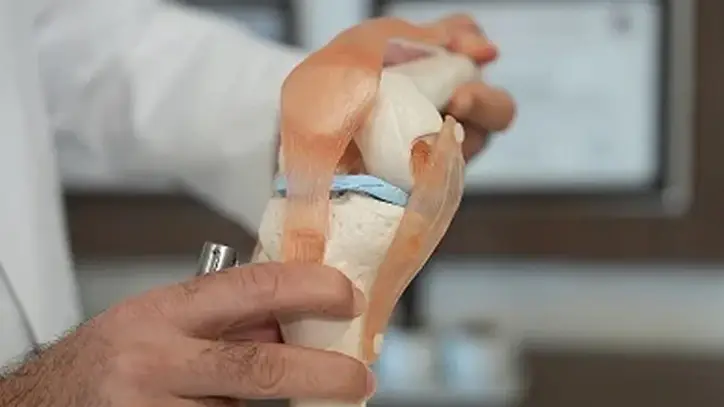 Menisküs kaybına hastanın kendi dokusundan çözüm