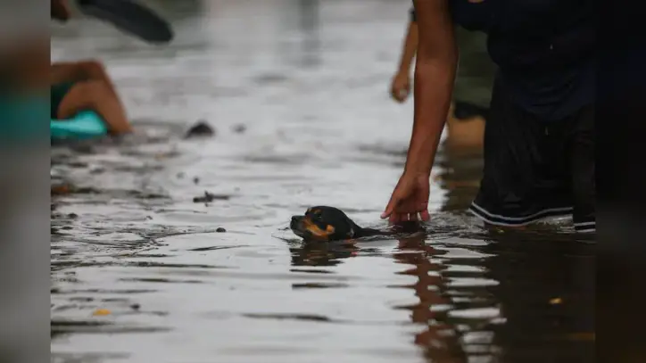 Mexico's Sheinbaum Urges Coastal Residents to Remain Indoors as Hurricane Simon Nears Coast