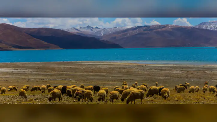 Monitoring Global Temperature and Precipitation in August 2026