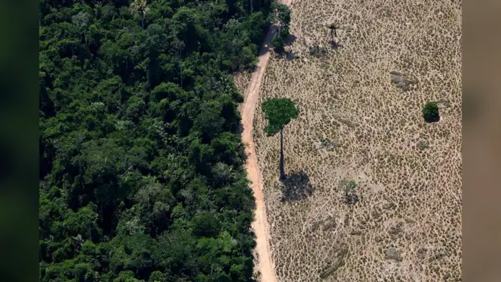 New Brazil Congress Poses Risk to Environmental Legislation, Campaign Group Says