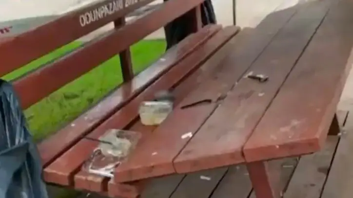 Parktaki vandallığı sosyal medyadan paylaştı