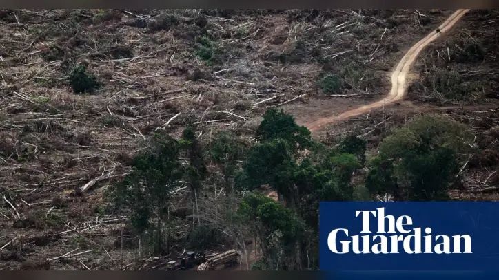 ‘Planetary boundaries’ necessary for flourishing of life have been massively breached, scientists warn
